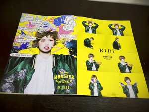 RIBI パンフ画像2.jpg